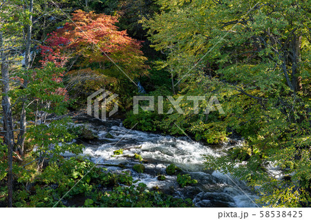 清流と紅葉 58538425
