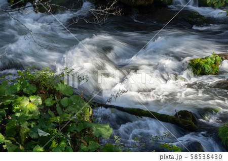 清流と紅葉 58538430