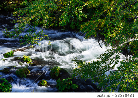 清流と紅葉 58538431