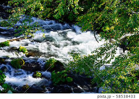 清流と紅葉 58538433