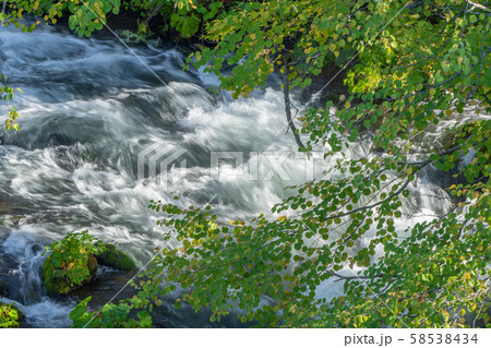 清流と紅葉 58538434
