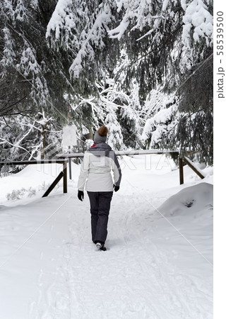 Rear view of a woman is walking in a winter forest 58539500