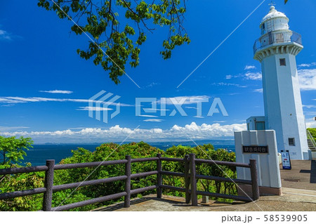 神奈川県・横須賀市 春の観音崎公園の風景 58539905