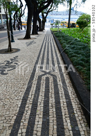 ポルトガル領、マデイラ島、フンシャル、ザルコ通りの石畳 ポルトガル領、マデイラ島、フンシャル、ザルコ通りの石畳 58540102