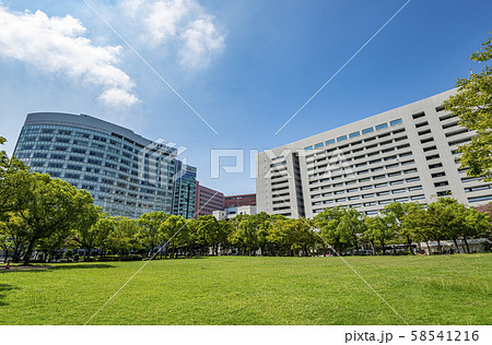 天神中央公園 天神中央公園 58541216