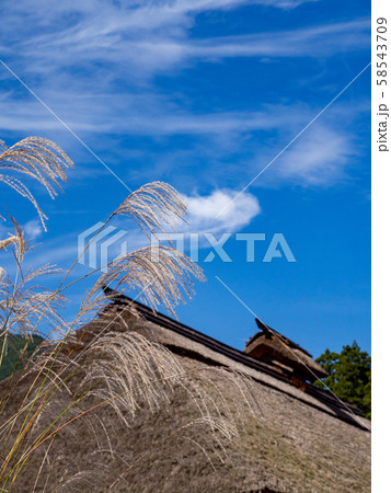 江戸時代の趣そのままの大内宿 青空と茅葺き屋根とススキ 江戸時代の趣そのままの大内宿 青空と茅葺き屋根とススキ 58543709