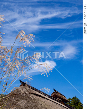 江戸時代の趣そのままの大内宿　青空と茅葺き屋根とススキ 58543710