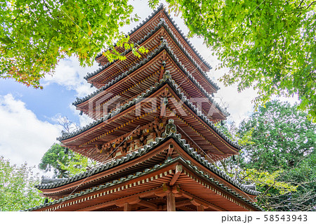 海住山寺6348 海住山寺6348 58543943