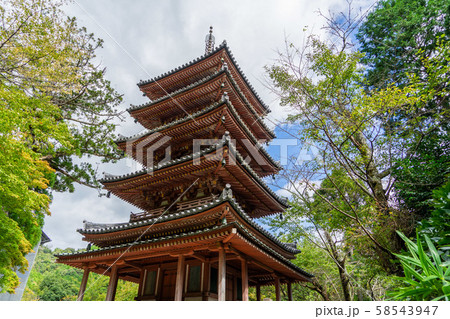 海住山寺6312 58543947