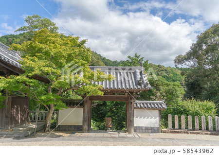 海住山寺6263 58543962