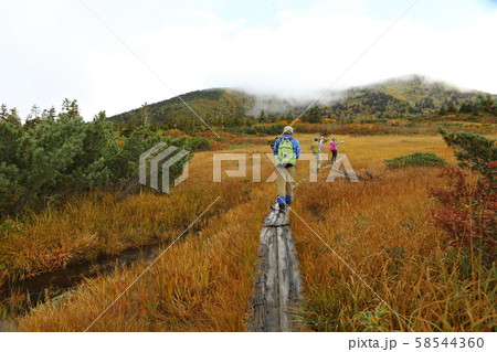 八甲田下毛無木道 58544360