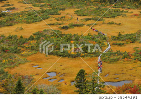 毛無岱秋風景 58544391