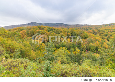 秋の十和田八幡平国立公園　八幡平 58544610