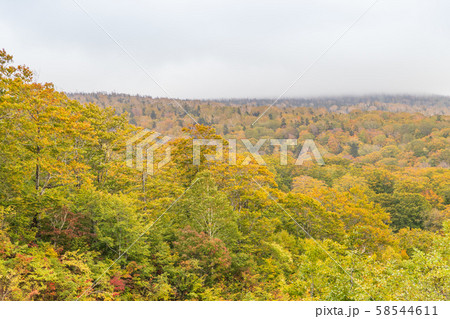 秋の十和田八幡平国立公園 八幡平 秋の十和田八幡平国立公園 八幡平 58544611