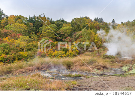 秋の十和田八幡平国立公園　八幡平 58544617
