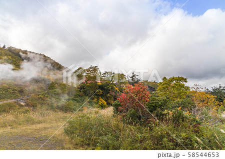 秋の十和田八幡平国立公園　八幡平 58544653