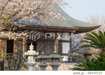 寺 58544727