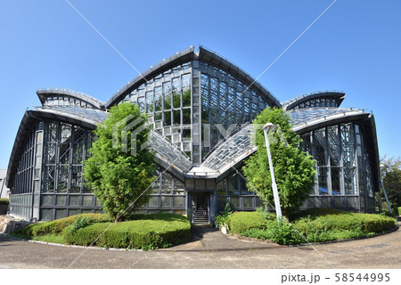 橿原市昆虫館 橿原市昆虫館 58544995