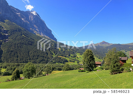 スイス、グリンデルワルトの風景、アイガー スイス、グリンデルワルトの風景、アイガー 58546023