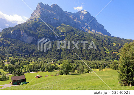 スイス、グリンデルワルトの風景、アイガー スイス、グリンデルワルトの風景、アイガー 58546025