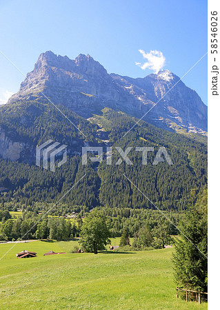 スイス、グリンデルワルトの風景、アイガー スイス、グリンデルワルトの風景、アイガー 58546026
