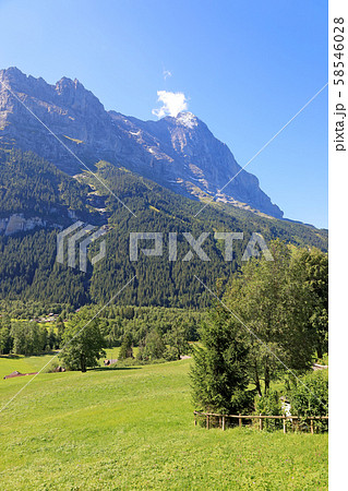 スイス、グリンデルワルトの風景、アイガー スイス、グリンデルワルトの風景、アイガー 58546028