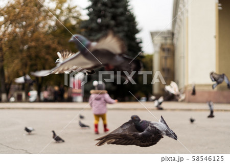 Toddler girl in rain boots playing with birds on city square. Outdoors childhood activity 58546125