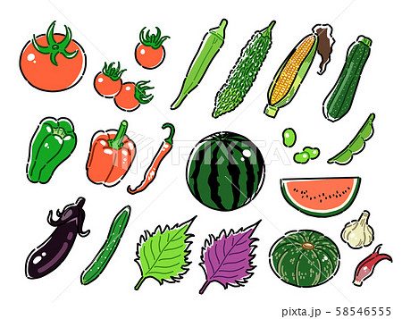 夏野菜のイラスト素材