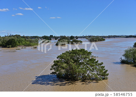 台風一過の荒川と入間川合流部下流方向 台風一過の荒川と入間川合流部下流方向 58546755