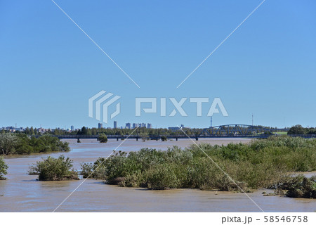 台風一過の荒川と入間川合流部下流方向 台風一過の荒川と入間川合流部下流方向 58546758