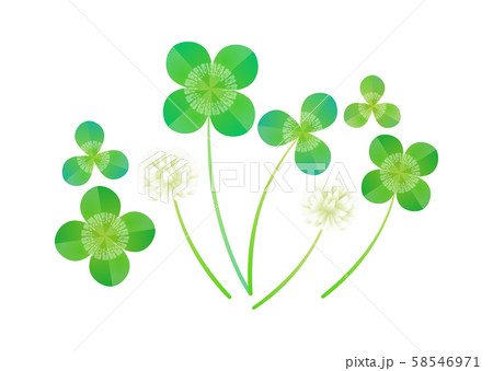 クローバー クローバー 58546971