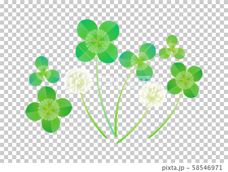 クローバー クローバー 58546971