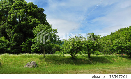 太宰府(太宰府政庁跡) 58547201