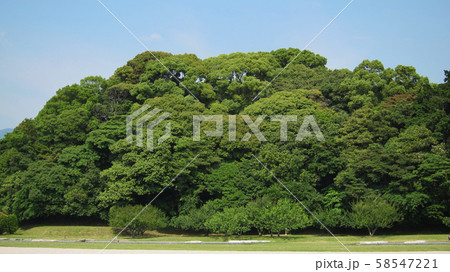 太宰府(太宰府政庁跡) 太宰府(太宰府政庁跡) 58547221