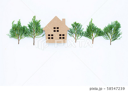 Miniature house with dragon juniper's leaves Miniature house with dragon juniper's leaves 58547239