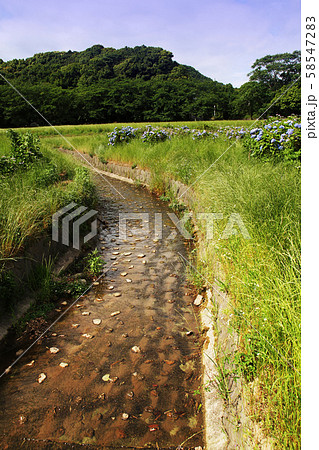 太宰府(太宰府政庁跡) 太宰府(太宰府政庁跡) 58547283