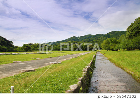 太宰府(太宰府政庁跡) 太宰府(太宰府政庁跡) 58547302