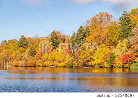 秋の十和田八幡平国立公園　八幡平　蒸ノ湯　長沼 58548097