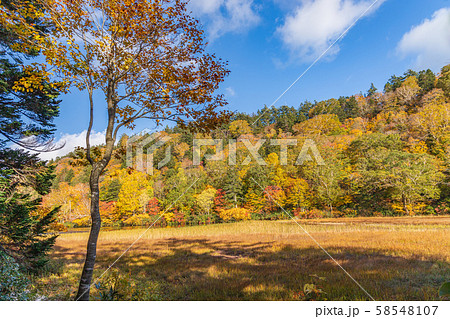 秋の十和田八幡平国立公園　八幡平　蒸ノ湯　長沼 58548107