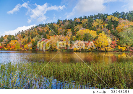 秋の十和田八幡平国立公園 八幡平 蒸ノ湯 長沼 秋の十和田八幡平国立公園 八幡平 蒸ノ湯 長沼 58548193