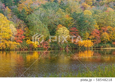 秋の十和田八幡平国立公園　八幡平　蒸ノ湯　長沼 58548218