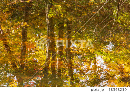 秋の十和田八幡平国立公園　八幡平　蒸ノ湯　長沼 58548250