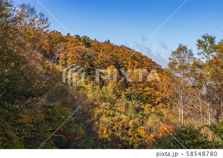秋の十和田八幡平国立公園　八幡平　蒸ノ湯温泉 58548780