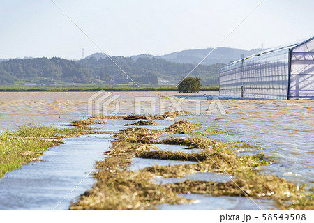 台風19号　2019年　洪水　冠水　水没 58549508