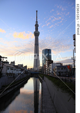 東京スカイツリー 東京スカイツリー 58549639