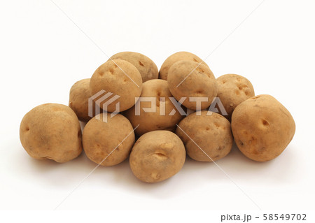 じゃがいも(男爵) じゃがいも(男爵) 58549702