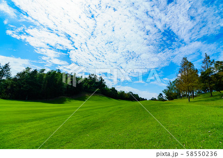 ゴルフ ゴルフコース フェアウェイ ラウンド 青空 戦略 ビジネス マナー マネジメント ルート ゴルフ ゴルフコース フェアウェイ ラウンド 青空 戦略 ビジネス マナー マネジメント ルート 58550236