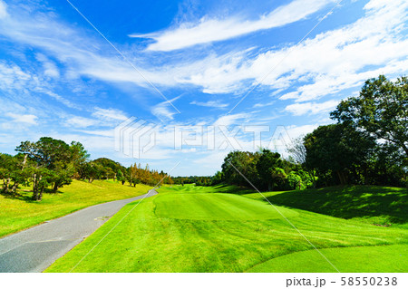 ゴルフ ゴルフコース フェアウェイ ラウンド 青空 戦略 ビジネス マナー マネジメント ルート 58550238