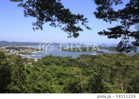 《宮城県》 松島 西行戻しの松 《宮城県》 松島 西行戻しの松 58551239