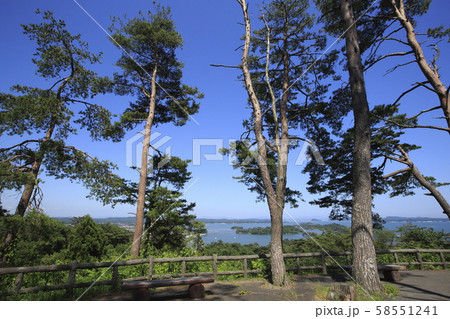 《宮城県》 松島 西行戻しの松 《宮城県》 松島 西行戻しの松 58551241